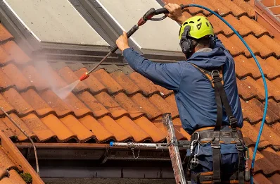 Démoussage et hydrofuge de toiture à Puyravault